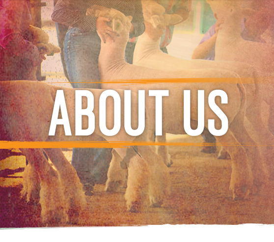About Us